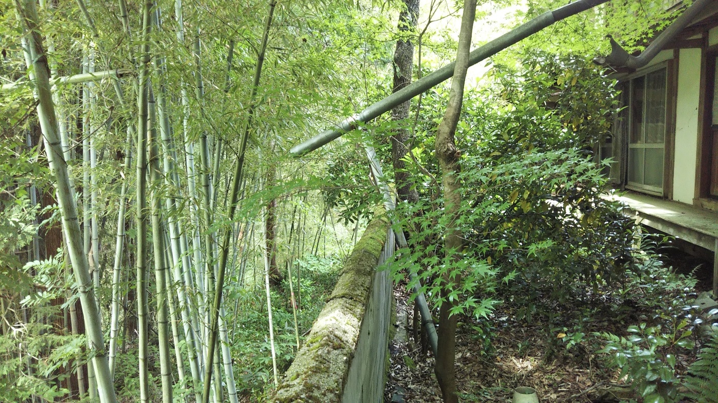 Slide 2